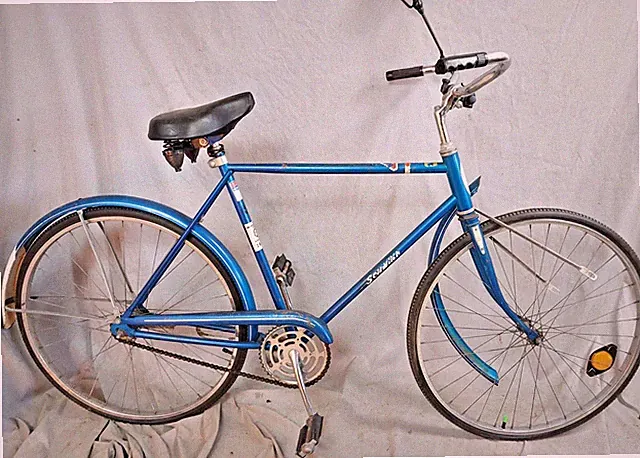 1965 Schwinn Cruiser Bike X-Large 21.5" Single Speed SS Blue Steel USA Made/Ship